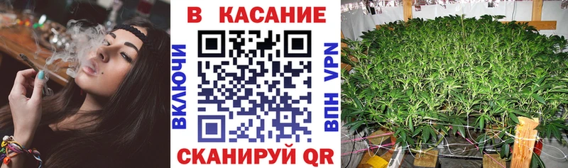Виды наркоты Кондопога Кокаин  Alpha-PVP  ГАШ  МАРИХУАНА  Амфетамин  Меф 