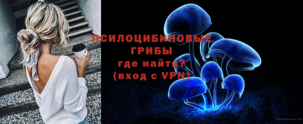 гидра Балахна