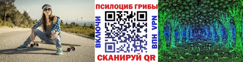 Галлюциногенные грибы Psilocybe  Кондопога 
