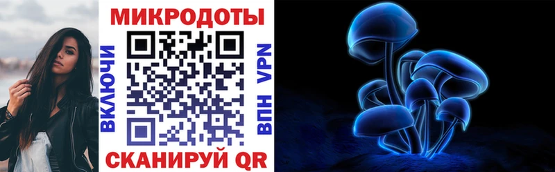 Псилоцибиновые грибы мухоморы Кондопога